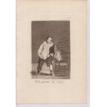 Francisco Goya (1746 - 1828), Porque fue sensible | El sí pronuncian y la mano alargan al primero que llega | Y se le quema la casa | La filiación | Ya es hora