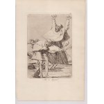 Francisco Goya (1746 - 1828), Porque fue sensible | El sí pronuncian y la mano alargan al primero que llega | Y se le quema la casa | La filiación | Ya es hora