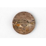 Germany Third Reich NSDAP Badge