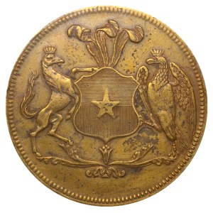 Chile, moneta z motywem „8 Esc.”, bez daty (lata 40. XIX wieku), PCGS, XF – szczegóły