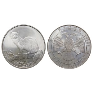 Russian Federation, 3 Roubles, 1995 year, MMD, Sable
