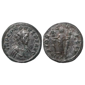 Roman Empire, Probus 276-282 (ND)