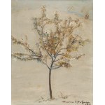 Wlastimil HOFMAN (1881-1970), « Le pommier – la première neige » (1951)