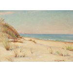 Stanisław ŻURAWSKI (1889-1976), Bałtycka plaża