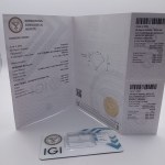 NATURAL COLORED DIAMOND 0.32 CT VERY HIGH CLARITY: VVS1 | CUT: MODIFIED RADIANT Official appraiser’s valuation: $5,092 (19,343.74 PLN gross—as of September 20, USD exchange rate 3.79885)