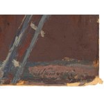 Stanisław Kamocki (1875 Warszawa - 1944 Zakopane), Widok z werandy Harendy