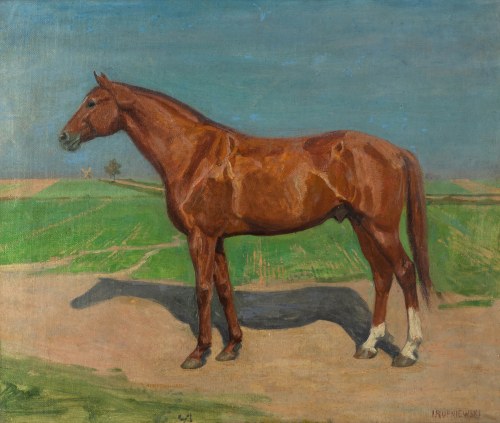Jerzy Rupniewski (1888 Warszawa-1950 Świecie), Portret konia