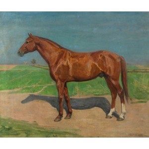 Jerzy Rupniewski (1888 Varsavia-1950 Świecie), Ritratto di cavallo