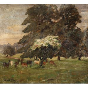 Nils STROM