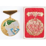 SET DI GIOIELLI E DISTINTIVI