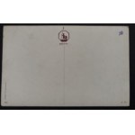 POSTCARD - BIRDS