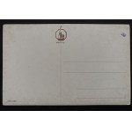 CARTOLINA - UCCELLI