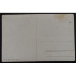 CARTE POSTALE - OISEAUX
