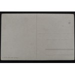 POSTCARD - BIRDS