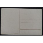 POSTCARD - BIRDS