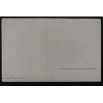 POSTCARD - BIRDS