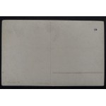 POSTCARD - FAUNA
