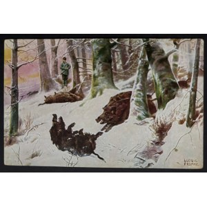 POSTCARD - FAUNA