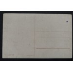 POSTCARD - FAUNA