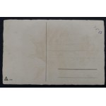 POSTCARD - FAUNA