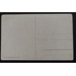 POSTCARD - FAUNA