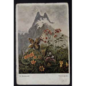 POSTCARD - FAUNA