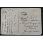 POSTCARD - FAUNA