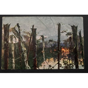 POSTCARD - FAUNA