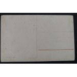 POSTCARD - FAUNA