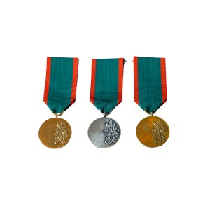 Odznaczenia zestaw