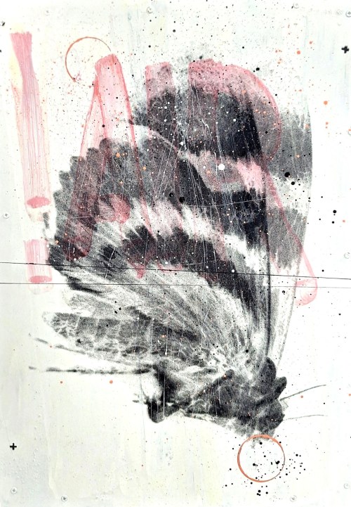 BARTEK STYPKA, Catocala Air, 2024