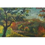 Incze István (1905-1978): Erdélyi táj. Olaj, karton, jelezve jobbra lent, üvegezett fakeretben, 50×67 cm / oil on board, signed lower right, framed