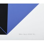 Boros Tamás (1959-): Hajlások-nyílás, 1983. Szitanyomat, papír, jelzett, számozott 3/20. 24x57 cm.