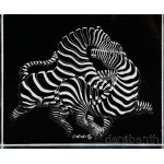 Victor Vasarely (1908-1997): Zebrák. Kinetikus plexi relief, jelzett, kis kopással 17x14 cm Victor Vasarely kinetikus plexi mélyreliefjei és mélykompozíciói az op-art és a kinetikus művészet úttörő munkái, amelyekben a művész a plexilapokra felvitt geomet