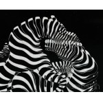 Victor Vasarely (1908-1997): Zebrák. Kinetikus plexi relief, jelzett, kis kopással 17x14 cm Victor Vasarely kinetikus plexi mélyreliefjei és mélykompozíciói az op-art és a kinetikus művészet úttörő munkái, amelyekben a művész a plexilapokra felvitt geomet