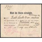 1919 Utazási engedély román és magyar nyelven egy hölgy részére Debrecenből Kolozsvárra / Travel permit in Romanian and Hungarian for a lady traveling from Debrecen to Kolozsvár