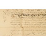 1824 Vadász mesterlevél. Nagyszombat városának vadász mestere által kiállítva Griesbach Antalnak. Díszes oklevél, kézzel rajzolt, viaszpecsétekkel, szignettákkal, 62x48 cm 1824 Master Hunter's Certificate. Issued to Antal Griesbach by the Master Hunter of