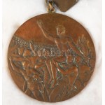 Mexikó 1968. Olimpiai Bronz díjérem, vízilabda sportágban "XIX Olimpiada Mexico 1968" kétoldalas bronzérem nyakszalagon, miniatűrrel. Az éremhez tartozó adományozói okirat üvegezett keretben (Dömötör Zoltán részére). Az érem eredeti fa dísztokban. A magya