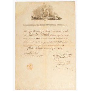 1852 A' Pesti Első Magyar Képző Művészetek Academiája (Első Magyar Festészeti Akadémia) oklevele Németh Julcsa krétarajz-fejért járó második fokú kitüntetése, Pest, 1852. november 14., díszes fejléces papíron (Tyroler Pesten), Marastoni Jakab (1804-1860