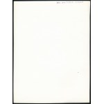 cca 1933 Kinszki Imre (1901-1945) budapesti fotóművész pecséttel jelzett vintage fotóművészeti alkotása (Levelek ellenfényben), 23,6x17,8 cm