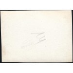 cca 1932 Kinszki Imre (1901-1945) budapesti fotóművész hagyatékából, jelzés nélküli vintage fotó (Kutató laborban), 4,3x6 cm