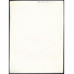cca 1936 Kinszki Imre (1901-1945) budapesti fotóművész pecséttel jelzett vintage fotóművészeti alkotása (kutyás kép), a kutya hátán retusnyomok, 23,4x17,7 cm