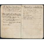 cca 1930-1933 Temesvár, Farkaskölyök napló. Szatmáry Károly falkavezér naplója. Temesvári magyar és (kisebb részben) román nyelvű cserkésznapló, de benne magyar nevekkel. Színezett előzéklappal, címlappal, és egy a címlap utáni lapon rajzzal. Benne kb. 20