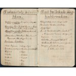cca 1930-1933 Temesvár, Farkaskölyök napló. Szatmáry Károly falkavezér naplója. Temesvári magyar és (kisebb részben) román nyelvű cserkésznapló, de benne magyar nevekkel. Színezett előzéklappal, címlappal, és egy a címlap utáni lapon rajzzal. Benne kb. 20