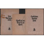 1915-1916 Schaeftlein, August: Galizien Herbst 1916, 5 t. Az első borító verzóján az osztrák művész ajánló soraival: ?Mei­nem lieben Kameraden Leutnant Dr. Johann Proszt zum Abschied und ferneren Gedanken Jezierzanka, am 22. März 1917? Hozzá tartozik: Gal