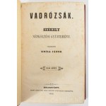 Skatīt līdzīgu