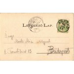 1905 Balatonfüred, Baross gőzhajó a kikötőhíd előtt. Koller Károly kiadása (EK)
