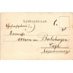 Balatonföldvár, villa, nyaraló. Schmidt Edgar kiadása (fa)
