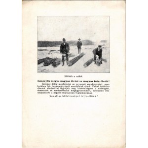 Balatonkenese, Kötözik a nádat, Balaton télen. Ismerjük meg a magyar életet: a magyar falu életét! hazafias propaganda. Kiadja Dr. Dömötör Sándor (EB)
