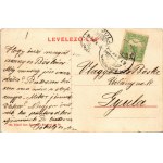 1907 Elek, Ormos utca, Özv. Schwarcz Jakabné és Fiai üzlete és saját kiadása (kis szakadás / small tear)